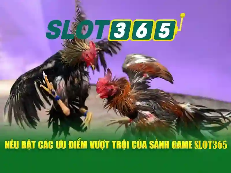 Tải Slot365