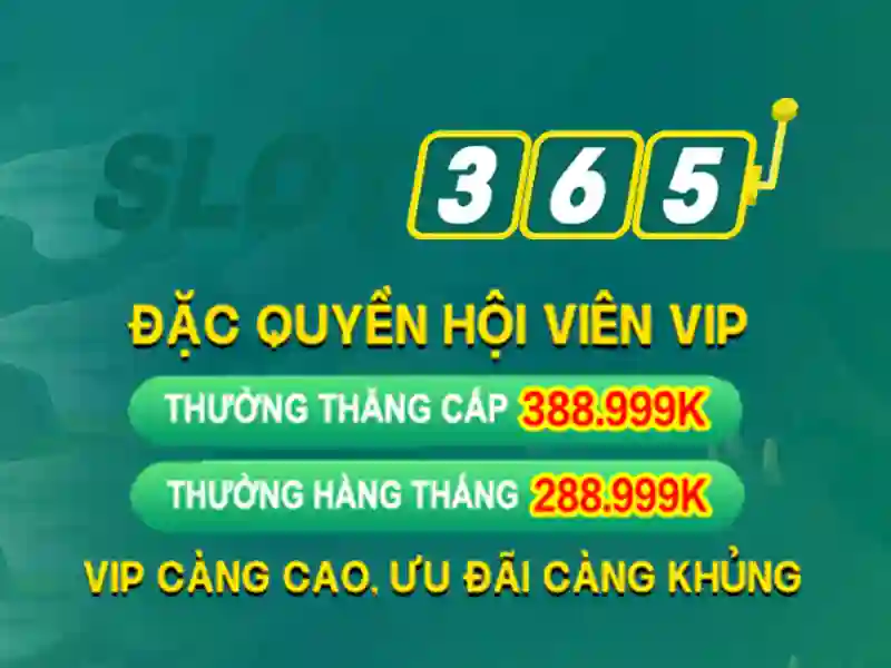 hỗ trợ Slot365