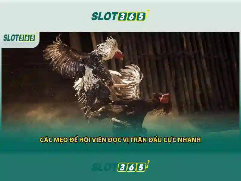SLOT365 – Trang Chủ | Đăng Ký | Nạp Tiền | Rút Tiền | Tải App | Casino | Thể Thao | Xổ Số | slot365 tặng 200k