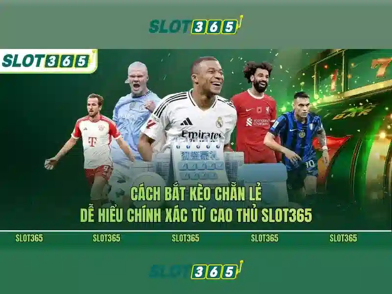 Quy Trình Đăng Nhập Heylink Slot365 Login