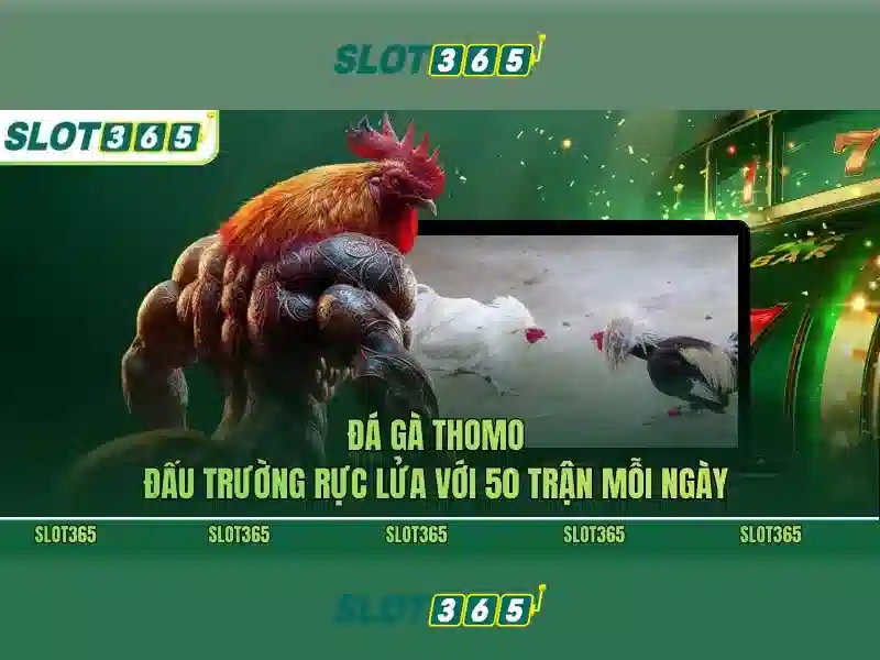 tính năng nổi bật