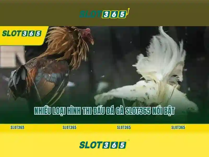 Đăng Nhập Slot365