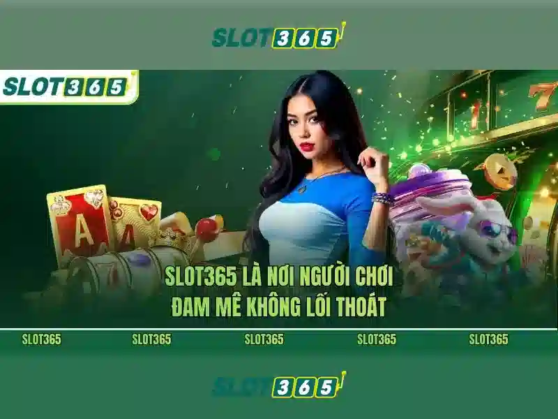 Ứng dụng Slot365 APK