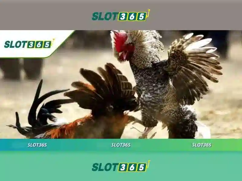 Slot365 Tải – Nổ Hũ Đổi Thưởng Sлот365 Với Ưu Đãi Khủng 2026