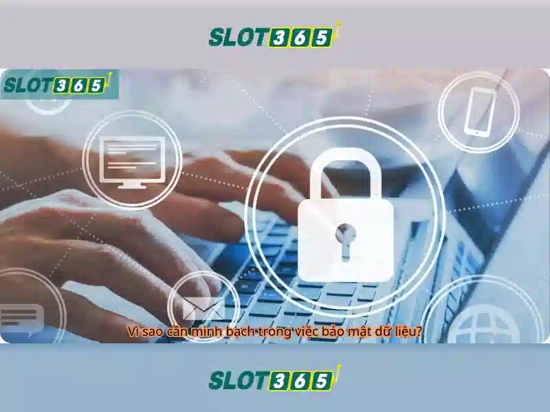 Phiên bản mới Slot365