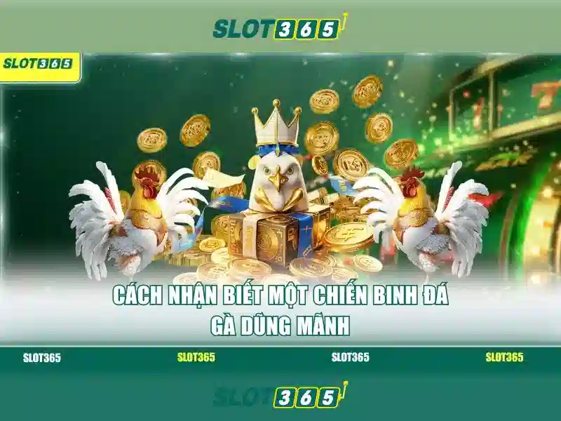 slot365 tải app ios