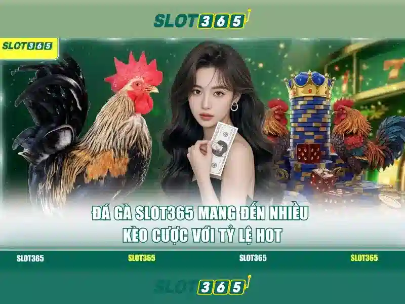 Cách Truy Cập Link Slot365