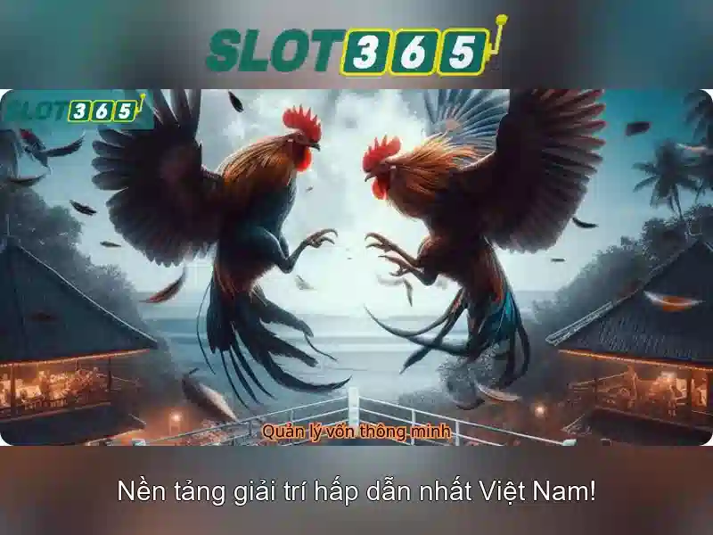 SLOT365 – Trải Nghiệm Slot365 Net Tuyệt Vời