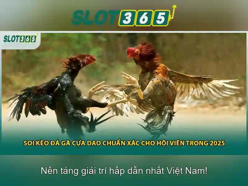SLOT365 – Khuyến Mãi Slot365 Com1 Độc Quyền Cho Người Chơi Slot365