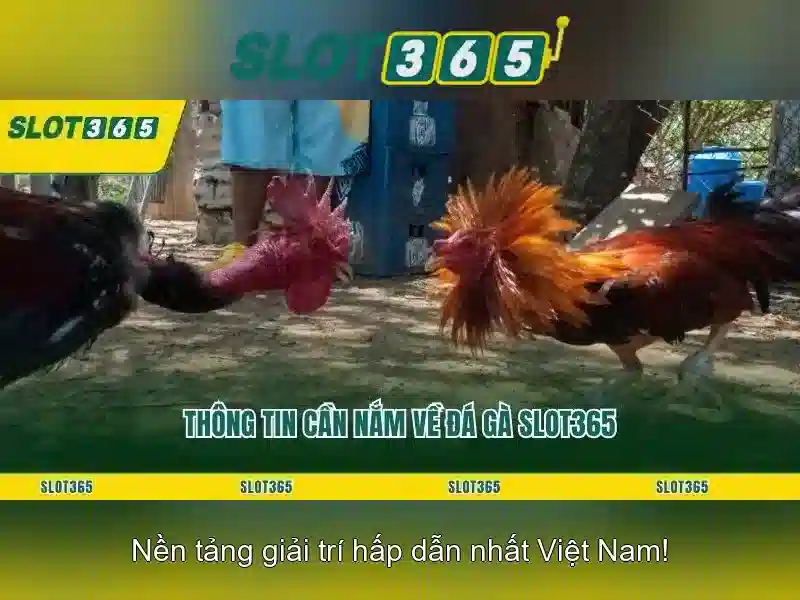 trải nghiệm Slot365