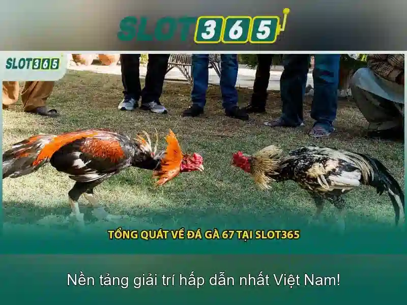 Trò chơi Slot365