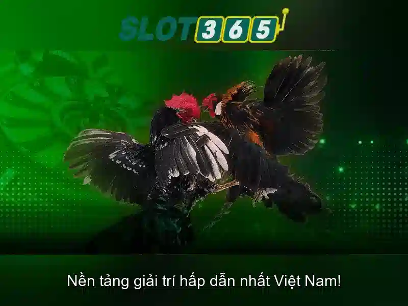 Trải Nghiệm Slot365