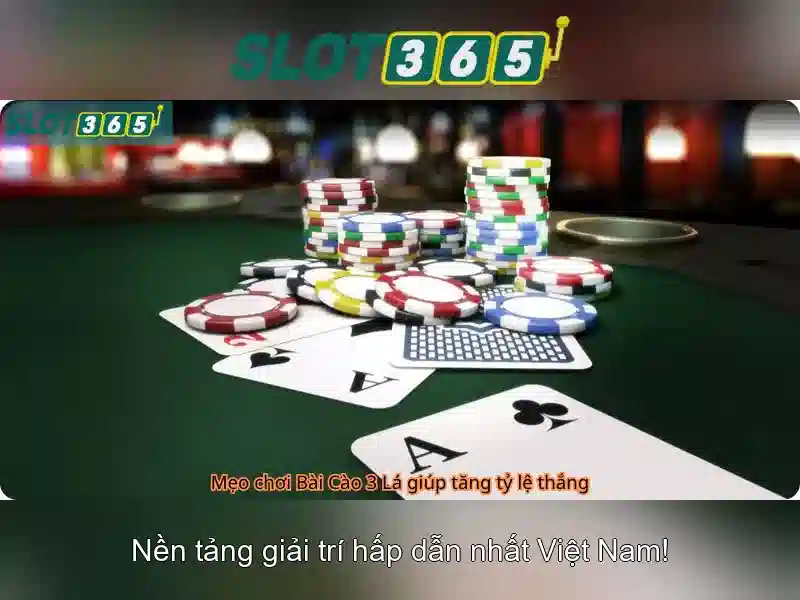 Slot365 Chính Thức – Trang Chủ Slot365 Chính Thức Không Bị Chặn 2026