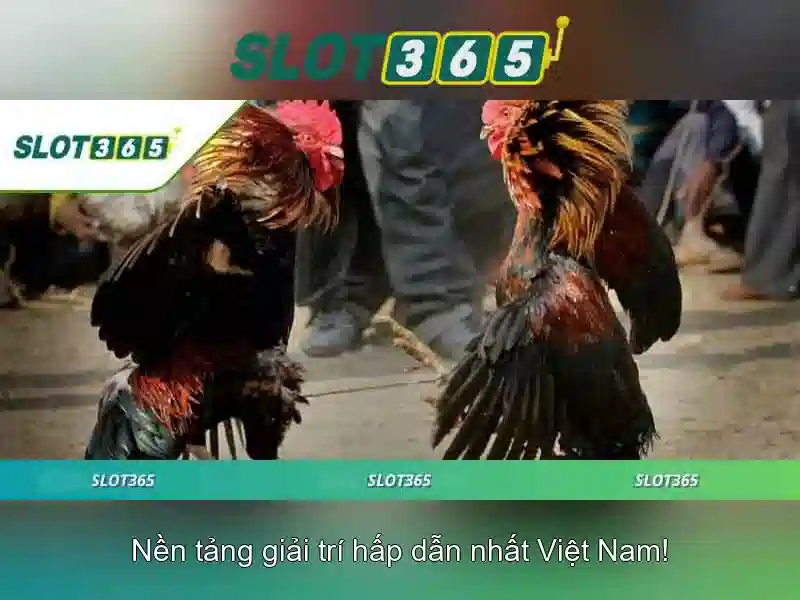 Trải Nghiệm Cược Đỉnh Cao