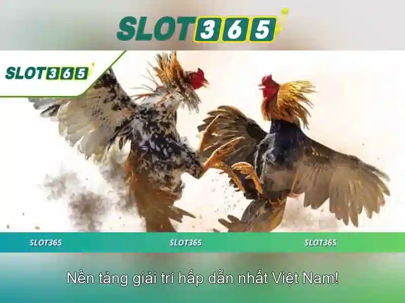 Slot365 hợp pháp không