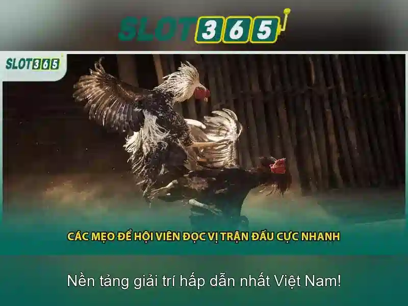 slot365 có lừa đảo không