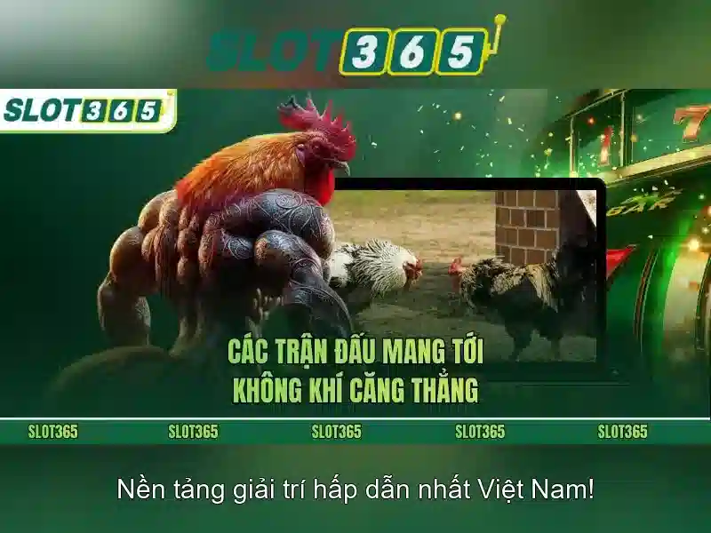 SLOT365 Tảng 200k