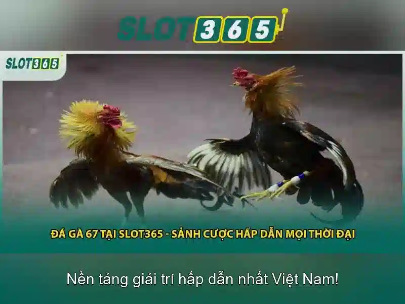 Ưu Điểm Slot365 Bet