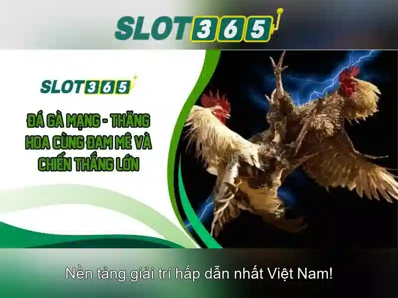 Trang Chủ Slot365