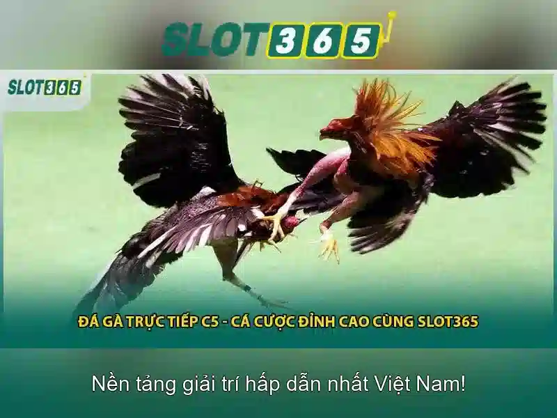 Quy định lỗi kỹ thuật Slot365