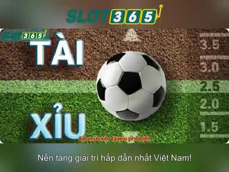 Quản Lý Tài Khoản Slot365