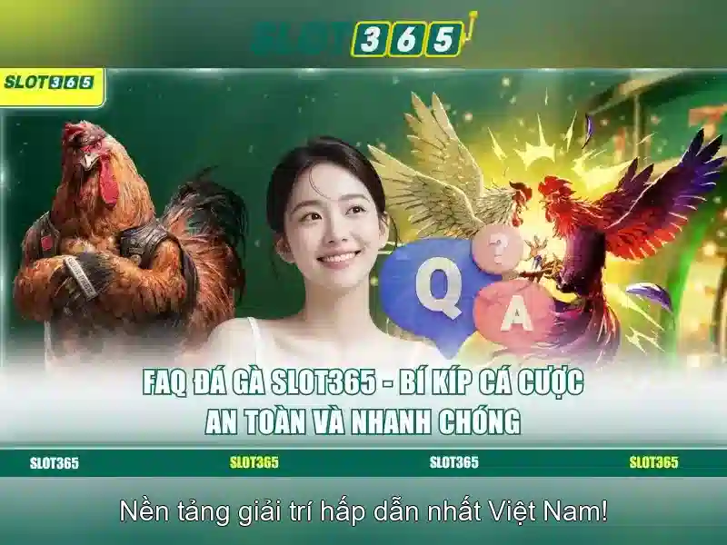 Slot365 khuyến mãi
