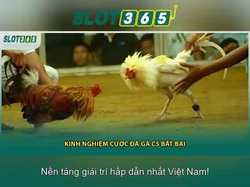 Hướng Dẫn Đăng Nhập Slot365
