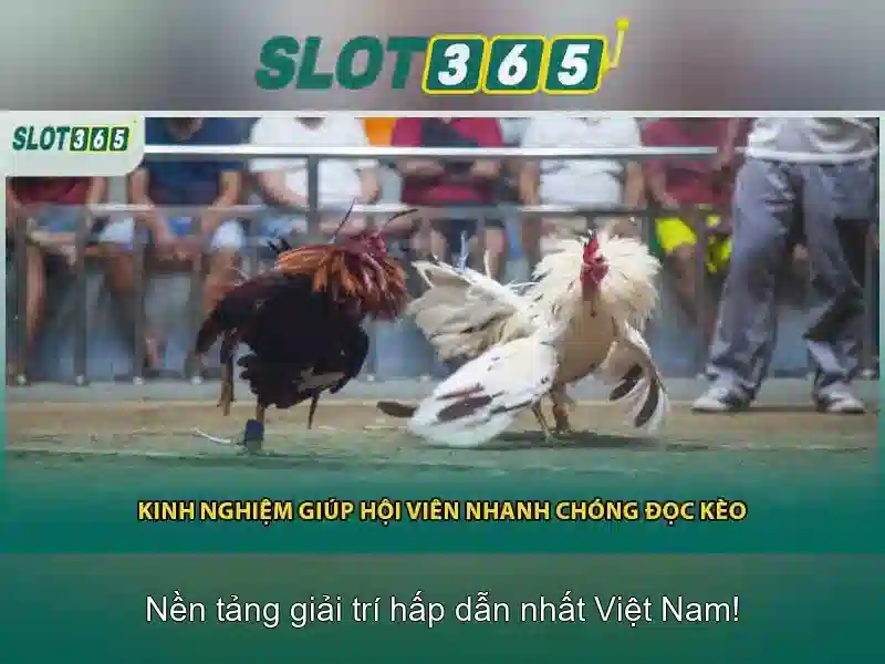 Các Loại Trò Chơi Slot Nổi Bật Tại SLOT365