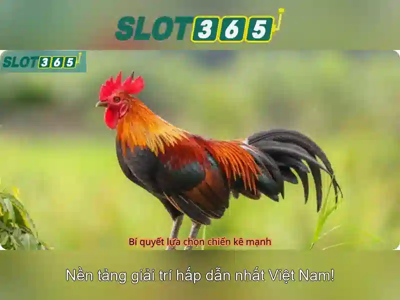 Tỷ lệ trả thưởng tại Slot365 Chính Thức
