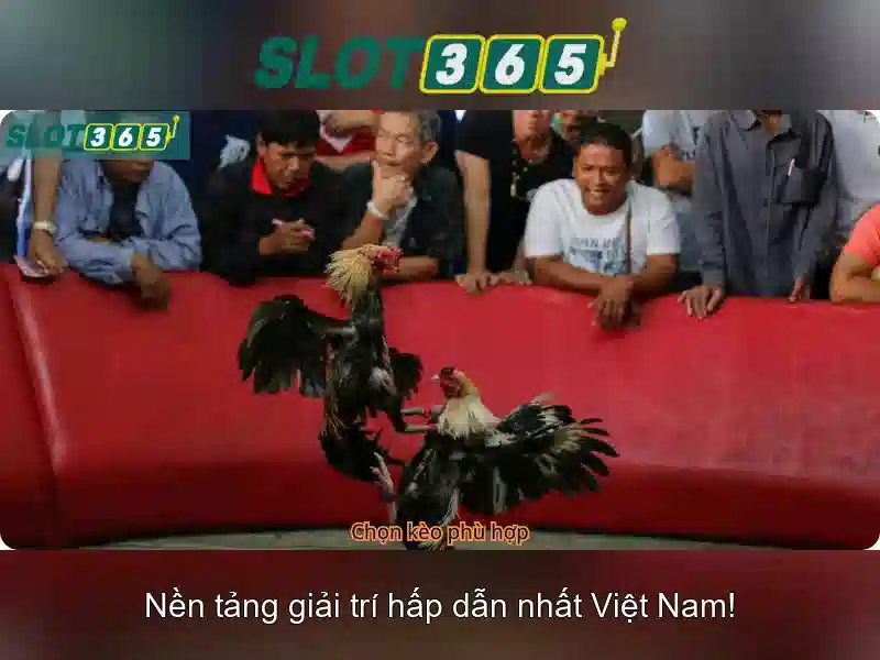 Hướng dẫn nạp tiền Slot365