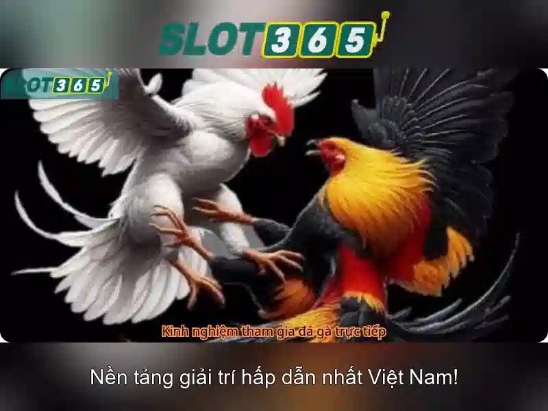 SLOT365 - Trải Nghiệm Chơi Slot Đỉnh Cao Với Raja Slot365