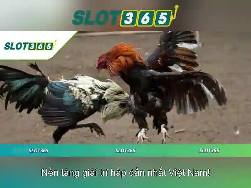 Chính Sách Bảo Mật Slot365