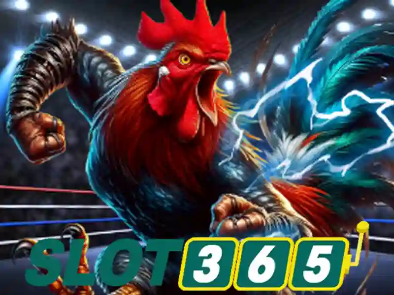 Hướng dẫn tải Slot365 APK