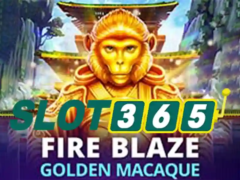 Tại Sao Nên Sử Dụng Heylink Slot365 Login